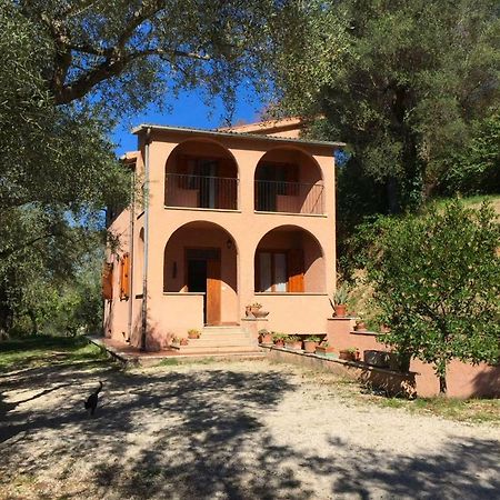 Argentella House Palombara Sabina Exterior foto
