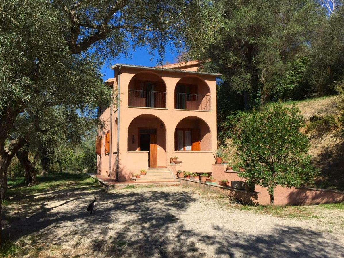 Argentella House Palombara Sabina Exterior foto